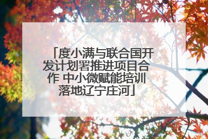 度小满与联合国开发计划署推进项目合作 中小微赋能培训落地辽宁庄河